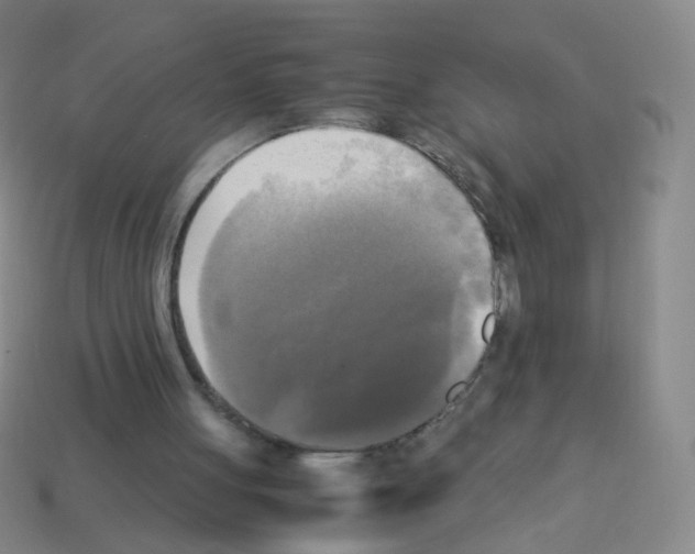 X0000113250051200910221129