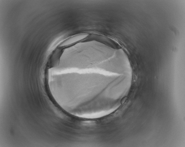 X0000113250053200910221129