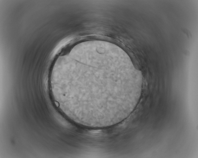 X0000113250054200910221129