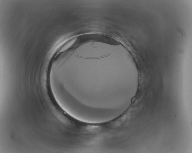 X0000113250055200910221129