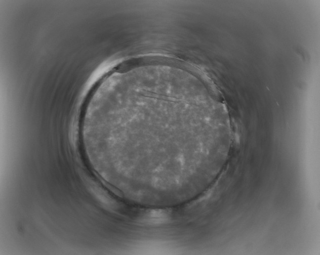 X0000113250056200910221129