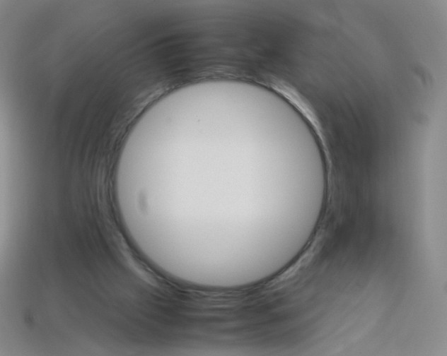 X0000113250057200910221129