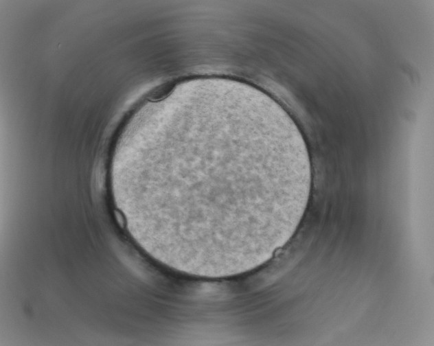 X0000113250060200910221129