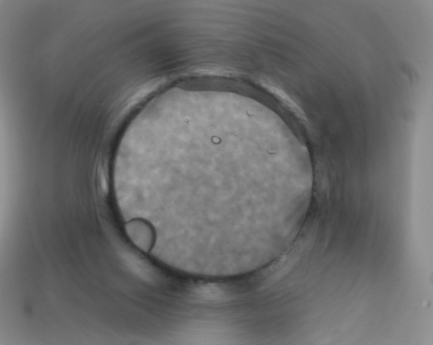 X0000113250062200910221129