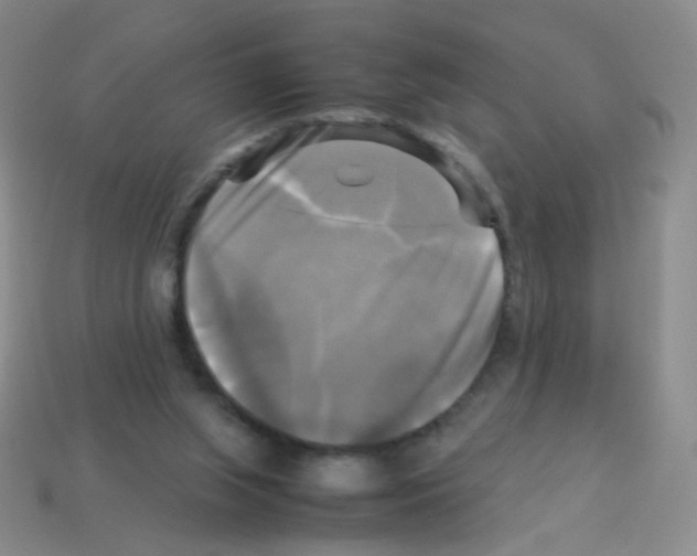 X0000113250063200910221129