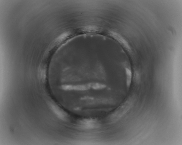 X0000113250065200910221129