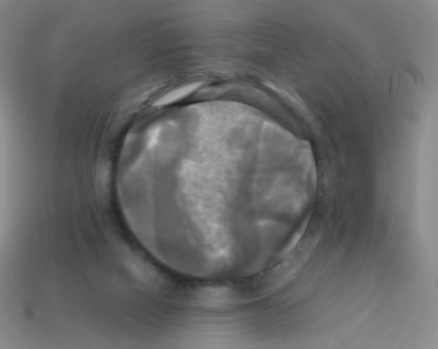 X0000113250066200910221130