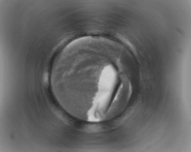 X0000113250067200910221130