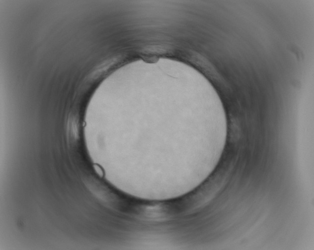 X0000113250068200910221130