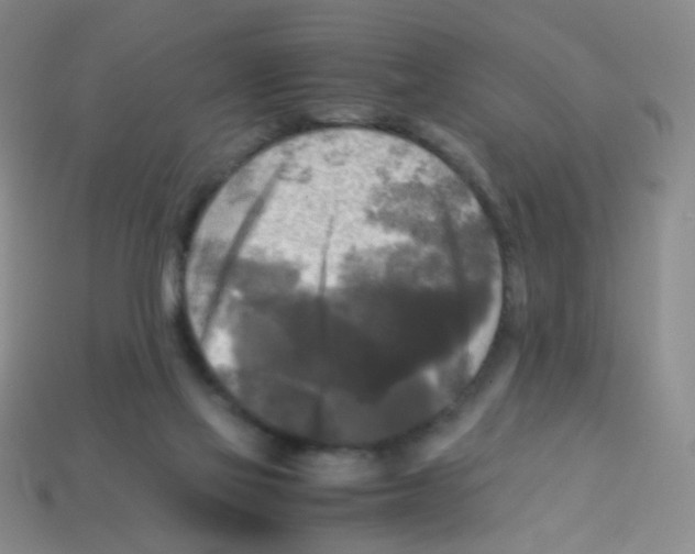 X0000113250069200910221130