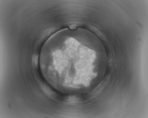 X0000113250070200910221130