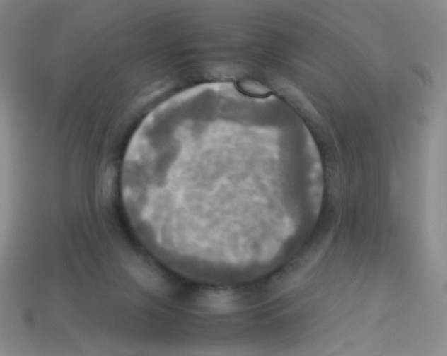 X0000113250071200910221130