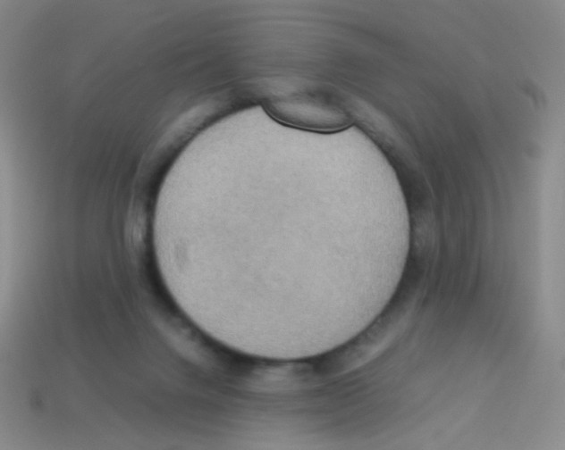 X0000113250072200910221130