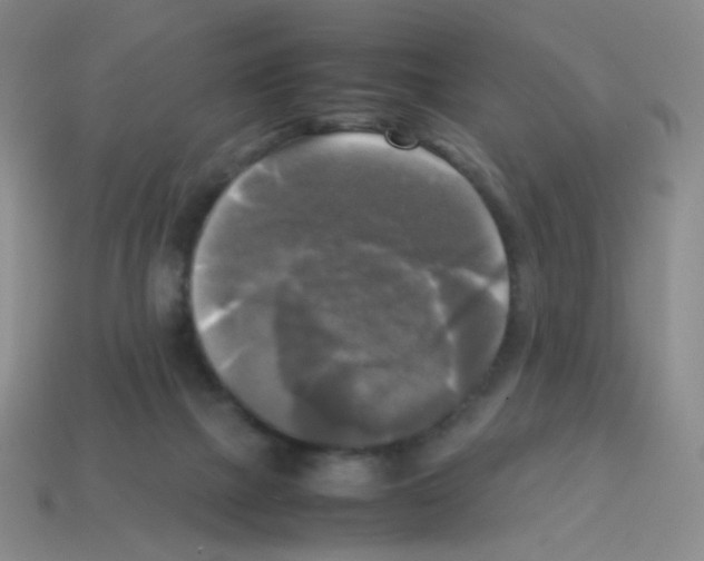 X0000113250073200910221130