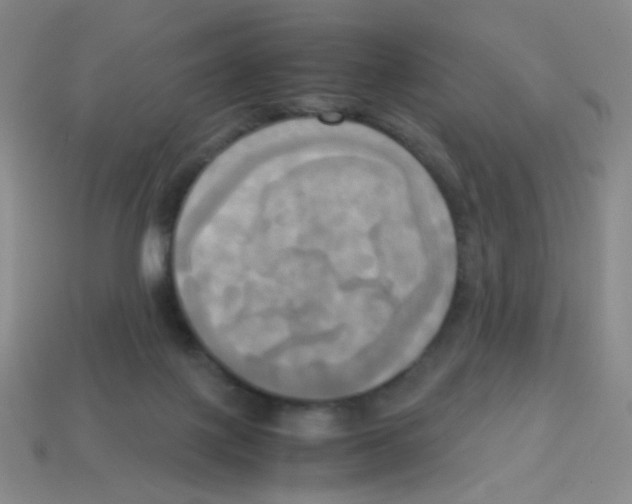 X0000113250075200910221130