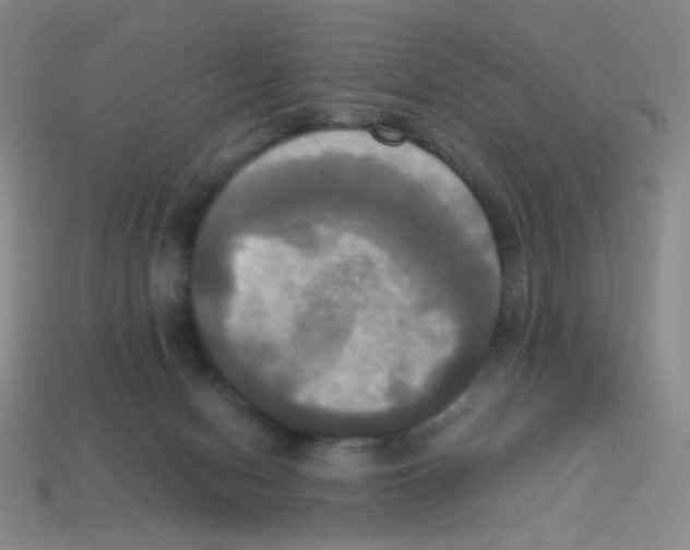 X0000113250078200910221130