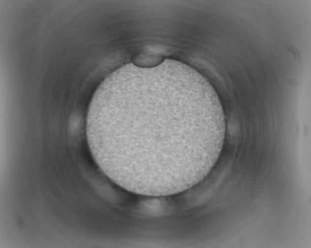 X0000113250079200910221130