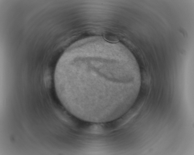 X0000113250080200910221130