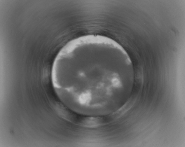 X0000113250082200910221130