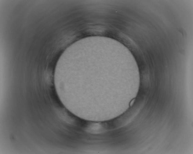 X0000113250083200910221130