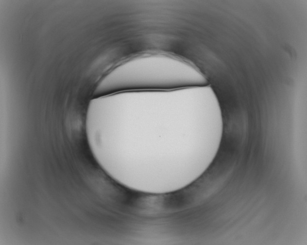 X0000113250084200910221130