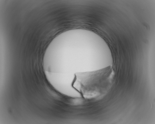 X0000113250085200910221130