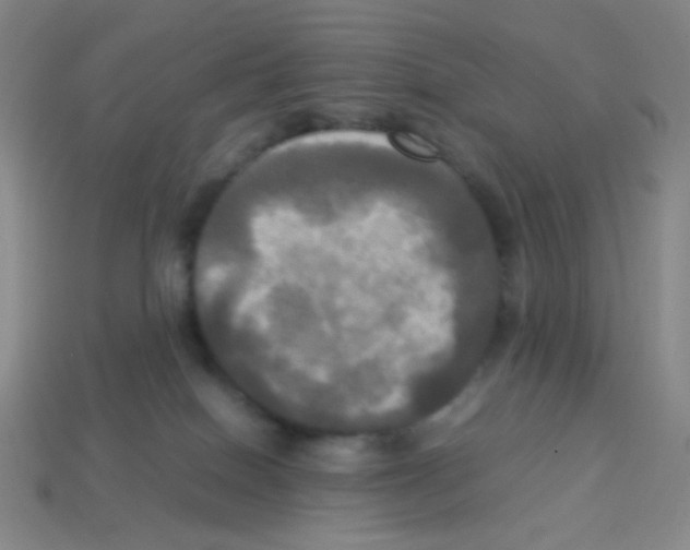 X0000113250086200910221130