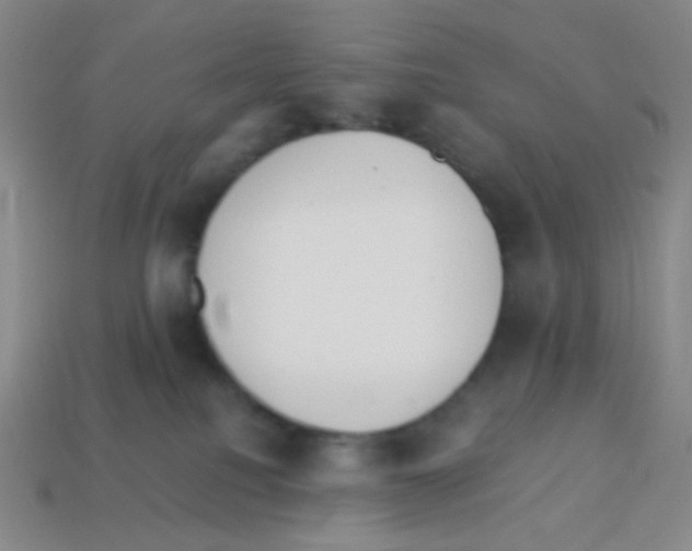 X0000113250088200910221130