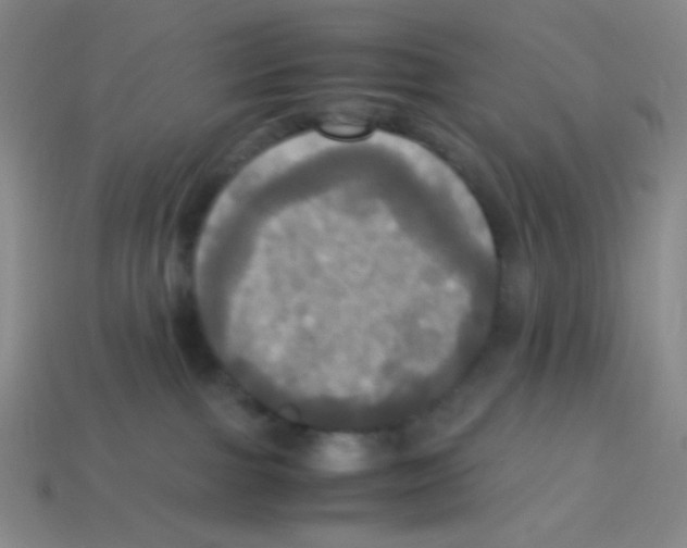 X0000113250091200910221130