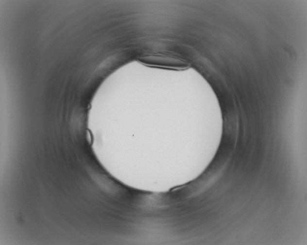 X0000113250092200910221130