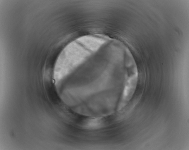 X0000113250093200910221130