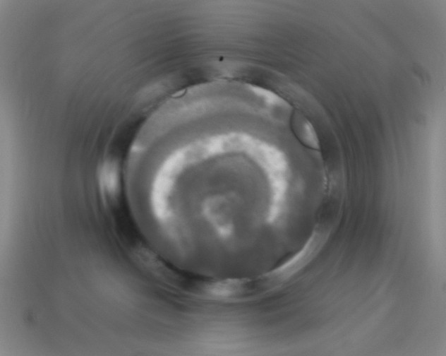 X0000113250094200910221130