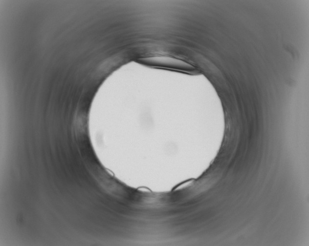 X0000113250096200910221130