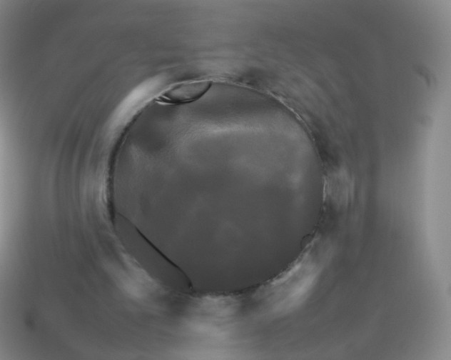 X0000113250101200910221129