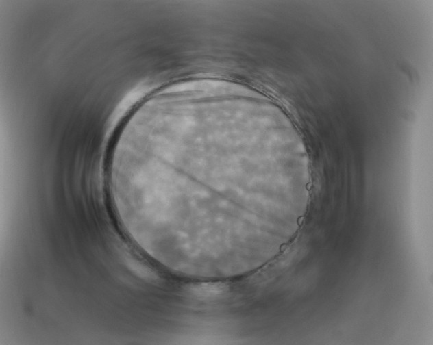 X0000113250102200910221129