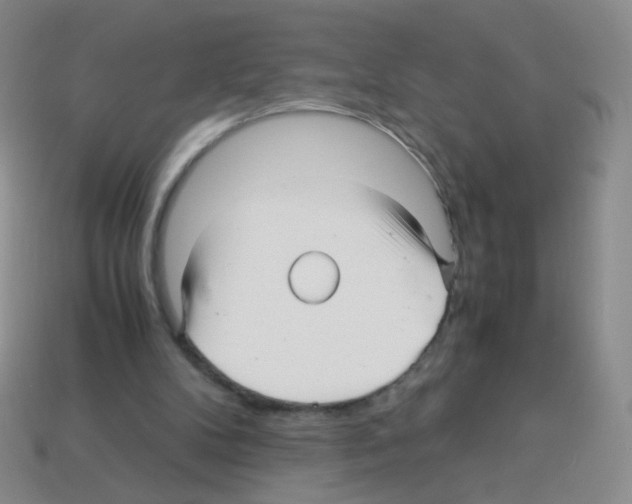 X0000113250104200910221129