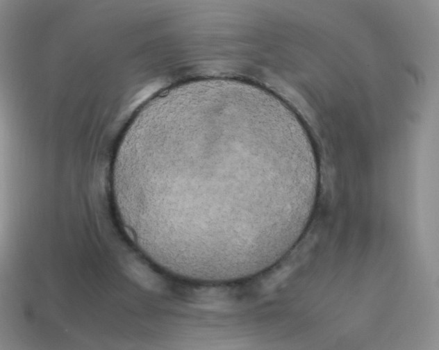 X0000113250105200910221129