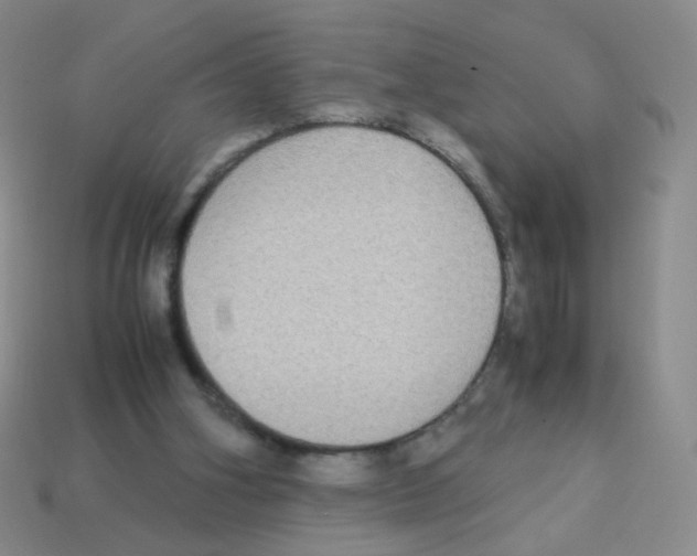 X0000113250106200910221129