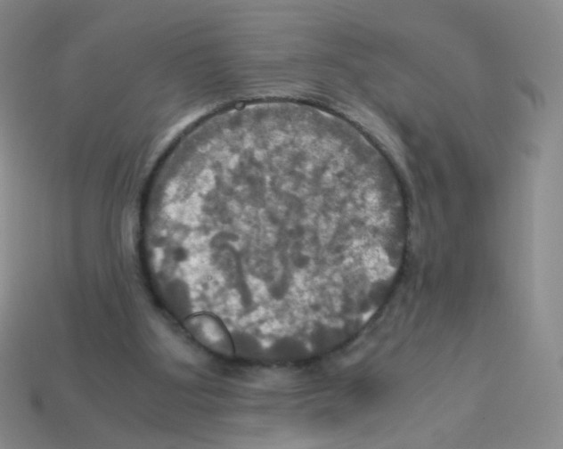 X0000113250107200910221129