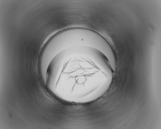 X0000113250108200910221129