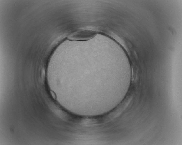 X0000113250109200910221129