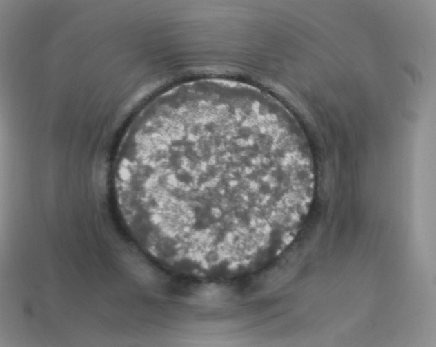 X0000113250111200910221129