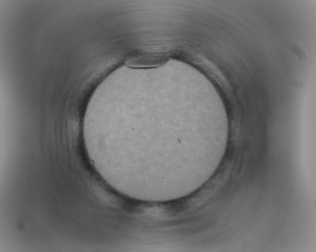 X0000113250113200910221129