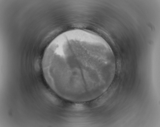 X0000113250114200910221129