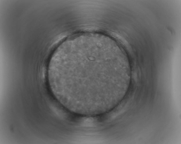 X0000113250115200910221129