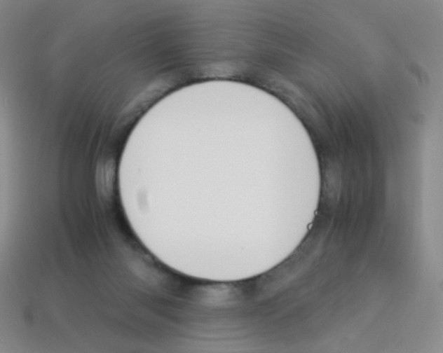 X0000113250118200910221129