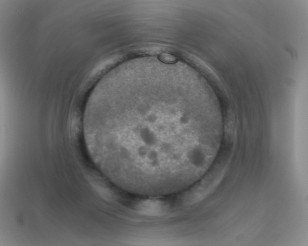 X0000113250119200910221129