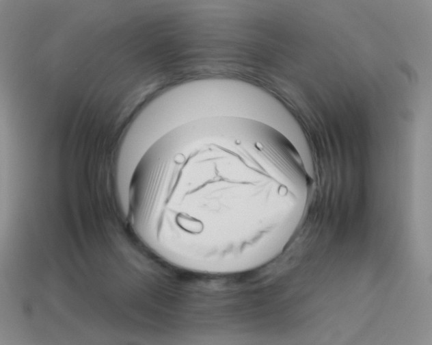 X0000113250120200910221129