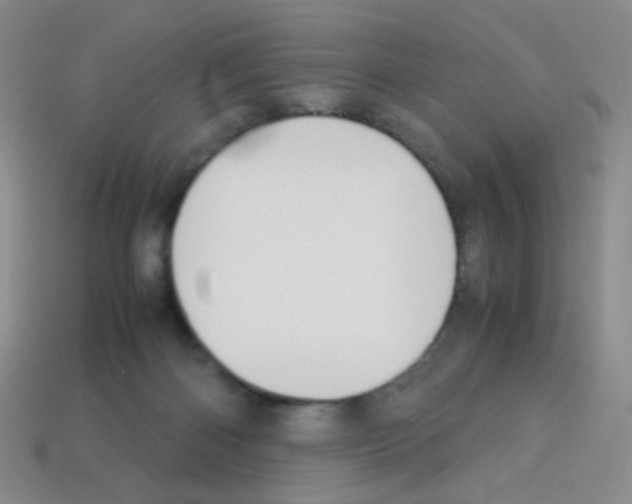 X0000113250122200910221129