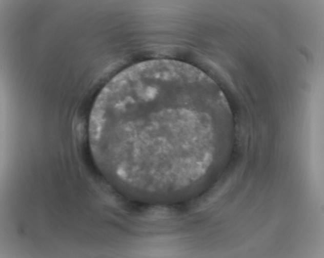 X0000113250123200910221129